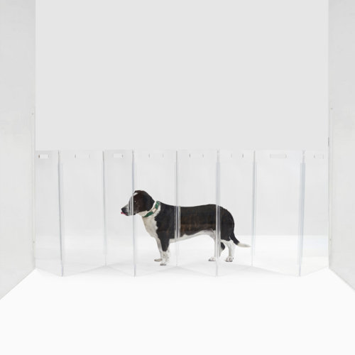 Hiddin Clear Zig Zag Pet Gate & Reviews Wayfair